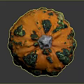 Decorative Orange Pumpkin With Green Spots Bumpy Texture And White Stem
