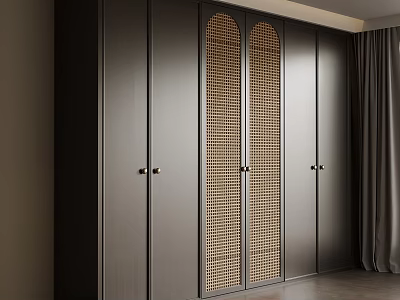Modern Wardrobe Design With Dark Cabinetry Rattan Panel Doors And Metal Handles 3d model