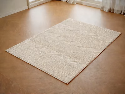 Beige Woven Texture Square Rug on Wooden Floor in Indoor Space 3d model