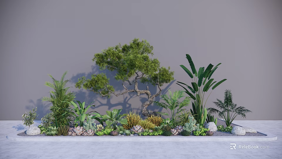 Various Succulent Plants With Green Foliage And Decorative Stones In Indoor Garden 3d model 