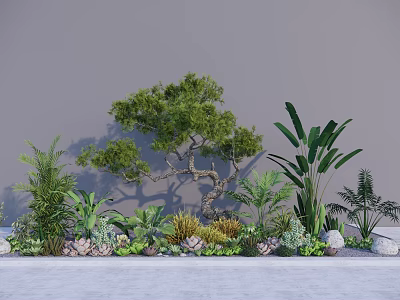 Various Succulent Plants With Green Foliage And Decorative Stones In Indoor Garden 3d model
