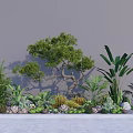 Various Succulent Plants With Green Foliage And Decorative Stones In Indoor Garden