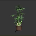 Green Leafy Potted Plant In Brown Pot On White Platform With Gray Background