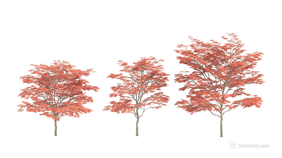 Red Leaf Arbor Trees With Varied Sizes For Garden Landscape Design 3d model 