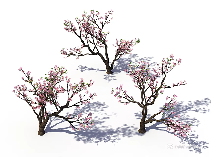 Three Flowering Trees With Pink Blossoms And Branch Details Casting Shadows 3d model 