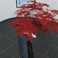 Garden Ornament Featuring Red Maple Tree With Vibrant Red Leaves And White Base
