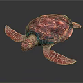 Colorful Sea Turtle With Pink Red Shell Blue Edges And Textured Pink Flippers
