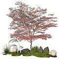 Tree Landscape Tree Red Maple Plant Pile 3d model