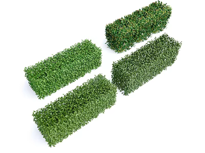 Four Rectangular Shaped Green Neatly Trimmed Bushes On White Background 3d model