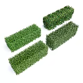 Four Rectangular Shaped Green Neatly Trimmed Bushes On White Background