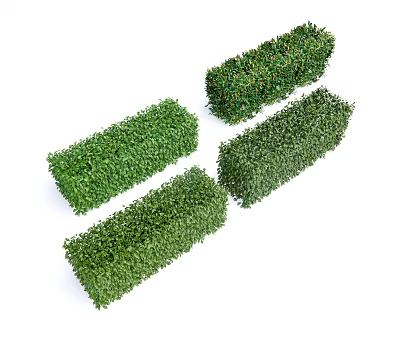 Four Rectangular Shaped Green Neatly Trimmed Bushes On White Background 3d model