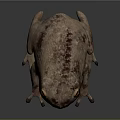 Realistic 3D Frog Model With Reddish Brown Spotted Skin And Yellow Eyes On Gray Background