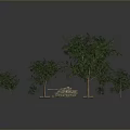 Various Green Trees of Different Sizes Planted in Soil Plots with Natural Foliage