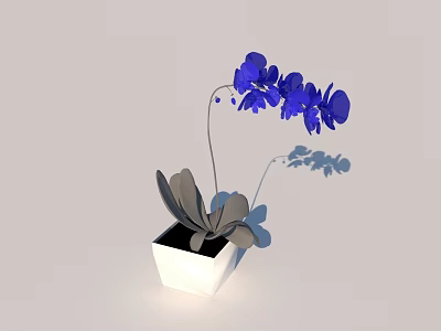 Bonsai Potted Plant With Blue Orchid Flowers Gray Leaves And White Square Pot 3d model