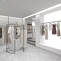Modern Clothing Store Interior Design With Mannequins Clothing Racks And Green Plants