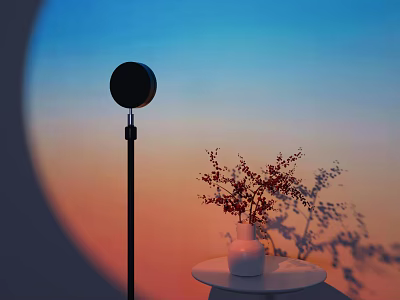 Black Round Floor Lamp With Gradient Sky And Small Table White Vase Red Flowers Shadows 3d model
