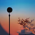 Black Round Floor Lamp With Gradient Sky And Small Table White Vase Red Flowers Shadows