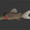 Spotted Fish With Large Eyes And Whisker Like Structures On Dark Background With Reflection