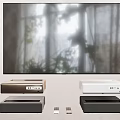Modern Large Screen Television With Natural Window Plants Background And Various Media Devices
