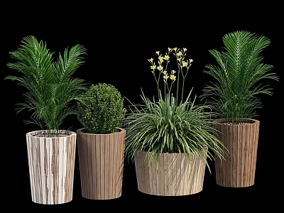 Stylish Bonsai Potted Plants in Wooden Pots with Yellow Flowers and Green Foliage 3d model