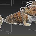 Tiger with animation 3d model