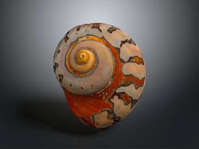 Vibrant Shell Shaped Sculpture Featuring Spiral Design And Orange White Hues 3d model