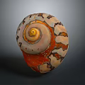 Vibrant Shell Shaped Sculpture Featuring Spiral Design And Orange White Hues