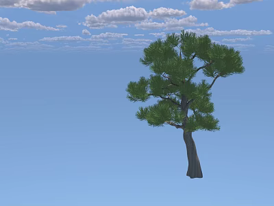 Arbor with Thick Trunk Umbrella Shaped Crown and Green Leaves Under Blue Sky White Clouds 3d model