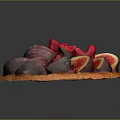 Fresh Fig And Red Berry Fruit Tart With Crispy Golden Crust