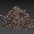 Reddish Brown Biological Tissue Structure With Bulbous Vesicles And Green Spines