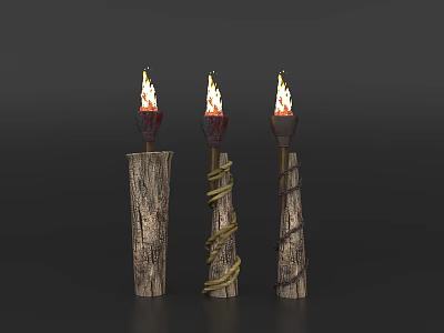 Outdoor Torch Lights with Wooden Posts Rope Wrapped and Flaming Design 3d model