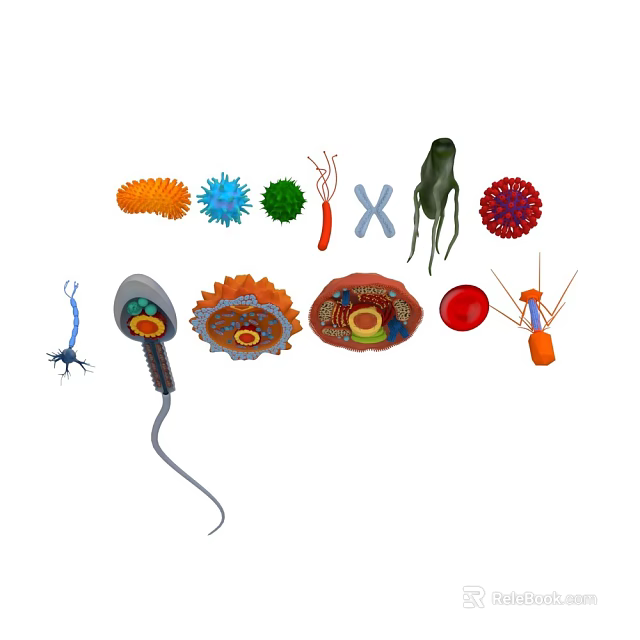 Colorful Microorganisms And Cell Structures With Various Shapes And Biological Forms 3d model 