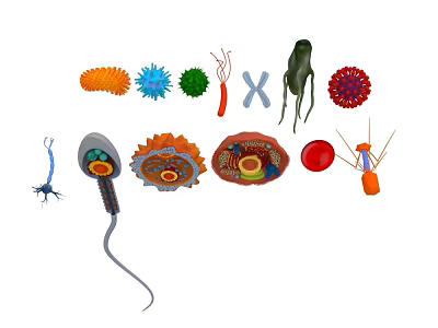 Colorful Microorganisms And Cell Structures With Various Shapes And Biological Forms 3d model