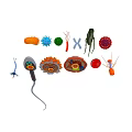 Colorful Microorganisms And Cell Structures With Various Shapes And Biological Forms