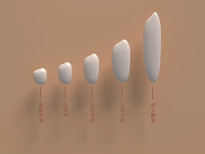 Rice Grain Rice Coarse Grain Rice Food Millet Northeast Rice Changxiang Rice 3d model