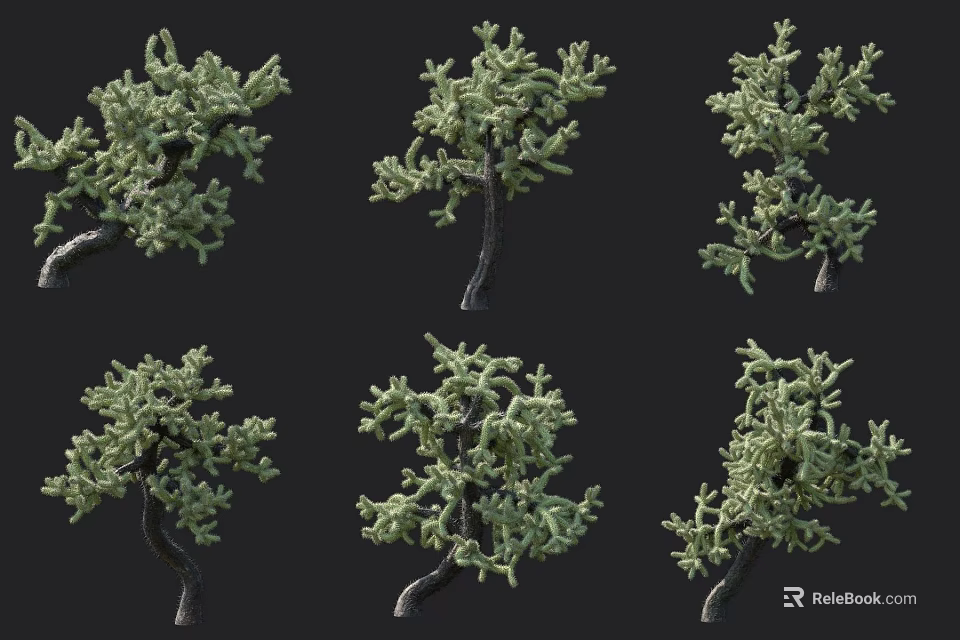 Succulent Plants Collection Featuring Various Tree Like Green Forms For Home Decor 3d model