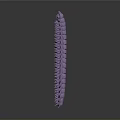 Detailed Purple Elongated Segmented Millipede Reptile On Gray Minimal Background