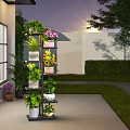 Courtyard Garden With Multi Tiered Plant Stand Various Plants Flowers Grass And Sunset Lighting
