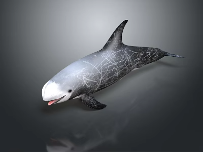 Game Movie Swimming Orca Character With Gray White Black Cracked Body Texture 3d model