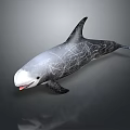 Game Movie Swimming Orca Character With Gray White Black Cracked Body Texture