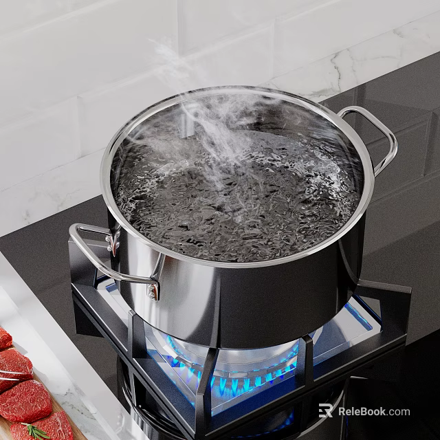 Stainless Steel Cooking Pot Boiling Water On Gas Stove With Steam And Raw Meat 3d model 