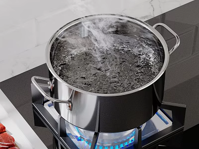 Stainless Steel Cooking Pot Boiling Water On Gas Stove With Steam And Raw Meat 3d model