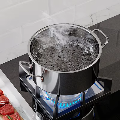 Stainless Steel Cooking Pot Boiling Water On Gas Stove With Steam And Raw Meat 3d model
