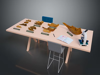 Fossil Specimens Displayed With Microscope Notebook And Chair On Table 3d model