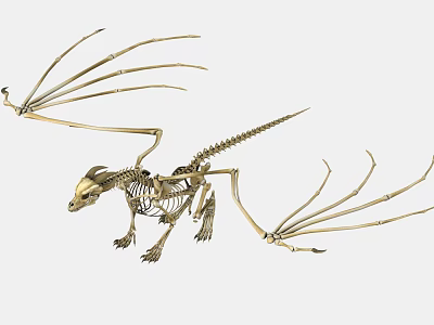 Detailed Mythical Dragon Skeleton With Extended Wings And Anatomical Bone Structure 3d model