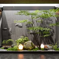 Serene Courtyard Garden with Glass Frame Gray Wall Lush Tree Stones Moss and Illuminated Lights
