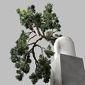 Artistic Bonsai Tree with Lush Green Foliage in Concrete Pot on Pedestal