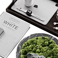 Ornamental Decor Combination With Marble Tray Moss Decoration Book And Phone