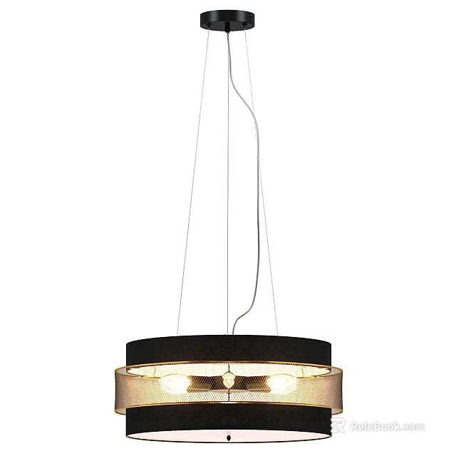 Modern Pendant Light with Round Lampshade and Warm Illumination for Home Interior Decor 3d model 