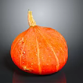 Fresh Ripe Orange Striped Pumpkin With Green Stem On Dark Background